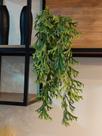 Arranjo com o vaso 2 plantas folhagem suculentas 65cm verde