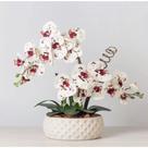 Arranjo completo Orquídea Slicone 3D Vaso Cerâmica luxo Centro de Mesa