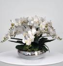 Arranjo de 6 Orquideas Artificiais Brancas Silicone e Vaso