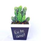 Arranjo de Cactos do Deserto em Vaso Lousa