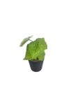 Arranjo de Flor Vaso com Flor Artificial Decorativo