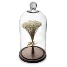 Arranjo de Flores Secas Sempre Viva na Cupula Branca Ht Arranjo de Flores Secas Sempre Viva na Cupula Branca Ht