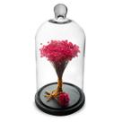 Arranjo de Flores Secas Sempre Viva na Cupula Arranjo de Flores Secas Sempre Viva na Cupula