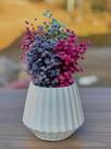 Arranjo de Flores SempreVivas Naturais em Vaso Decorativo, 15 cm, Branco com Padrão Art Déco