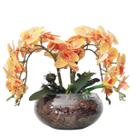 Arranjo de Mesa 4 Flores Orquídeas Coral Real Vaso Terrário