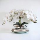 Arranjo de Mesa Com 4 Flores de Orquídeas Vaso Prateado