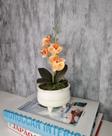 Arranjo De Mini Orquídea Laranja Vaso Bege Claro Redondo