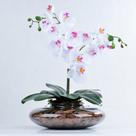 Arranjo de Orquídea Artificial Branca 2 Hastes em Terrário Liz
