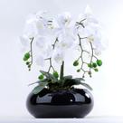 Arranjo de Orquídea Artificial Branca de Silicone em Vaso Preto