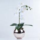Arranjo de Orquídea Artificial Branca em Aquário Rose Gold Bella