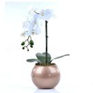 Arranjo de Orquídea Artificial Branca em Vaso Cobre Bruna Arranjo de Orquídea Artificial Branca em Vaso Cobre Bruna