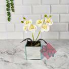 Arranjo de Orquídea Artificial Com Vaso de Vidro Espelhado Arranjo de Orquídea Artificial Com Vaso de Vidro Espelhado