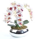 Arranjo de Orquídea Artificial Tigre 4 Hastes em Vaso Espelhado