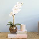 Arranjo de Orquídea Branca de Silicone no Vaso Vidro P Formosinha