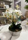 Arranjo de Orquídeas Artificiais Siliconadas Vaso Prateado