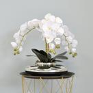 Arranjo de Orquídeas Brancas no Vaso Prateado Formosinha