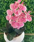 Arranjo de orquídeas vaso de vidro branco