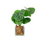 Arranjo de planta artificial em vasinho de vidro