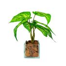 Arranjo de planta artificial em vasinho de vidro