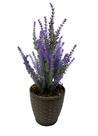 Arranjo Flores Lavanda Artificial Vaso Marro Tabaco Café Arranjo Médio
