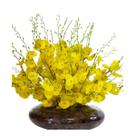 Arranjo Flores Orquídeas Chuva de Ouro e Vaso