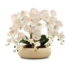 Arranjo Grande 6 Hastes Orquídea Silicone Mesa 8 Lugares Vaso Cerâmica