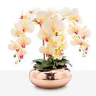 Arranjo Grande Centro De Mesa 8 Cadeiras Orquídea Artificial Vaso Vidro Rosê Espelhado Arranjo Grande Centro De Mesa 8 Cadeiras Orquídea Artificial Vaso Vidro Rosê Espelhado
