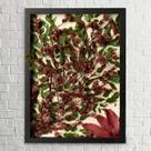 Arranjo no Quadro Flores Secas Chuvisco 30x42