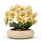 Arranjo Orquídea Artificial Silicone 6 Hastes Vaso Cerâmica Decoração Casa Sala Centro de Mesa