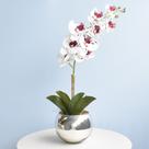 Arranjo Orquídea Artificial Tigre no Vaso Prateado M Formosinha