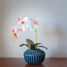 Arranjo Orquídea Branca 1 Haste