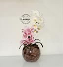 Arranjo Orquídea Branca Com Rosa Borboleta 3D Realista Permanente Siliconada Para Decoração de Mesa