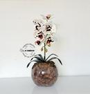 Arranjo Orquídea Branca Pintada Uma Haste Borboleta 3D Realista Permanente Siliconada Para Decoração