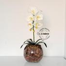 Arranjo Orquídea Branca Uma Haste Borboleta 3D Realista Permanente Siliconada Para Decoração de Mesa