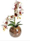 Arranjo Orquidea Flor Artificial Decorativa Centro De Mesa Vaso de Vidro M - ZentFuture