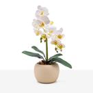 Arranjo Orquídea Flor Silicone Artificial Vaso Cerâmica Off White
