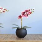Arranjo Orquídea Rosa Artificial no Vaso de Vidro Preto Formosinha Arranjo Orquídea Rosa Artificial no Vaso de Vidro Preto Formosinha