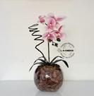 Arranjo Orquídea Rosa Borboleta 3D Realista Permanente Siliconada Para Decoração de Mesa