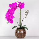 Arranjo Orquídea Silicone Artificial Em Vaso de Vidro Arranjo Decoração Sofisticada Elegante