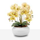 Arranjo Orquídea Silicone Toque Real 4 Hastes Vaso Vidro Branco
