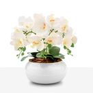 Arranjo Orquídea Silicone Toque Real 6 Hastes Vaso Vidro Branco