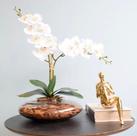Arranjo Orquídeas Artificiais Branca no vaso de Vidro Infinity Flores Arranjo Orquídeas Artificiais Branca no vaso de Vidro Infinity Flores