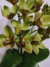 Arranjo orquídeas vaso marron gold