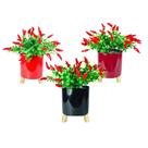 Arranjo Pimenta Decorativa C Vaso Cachepot