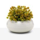 Arranjo Verdinho Planta Artificial Decoração Vaso Vidro