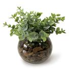 Arranjo Verdinho Vidro Decoração Artificial Mesa Charmosa Elegante Moderno Compacto Escritorio Casa