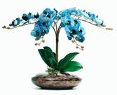 Arranjos De Mesa Vaso Grande Flores 4 Orquídeas Azul Flor