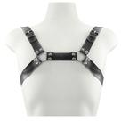 Arreio anteros harness dominatrixxx