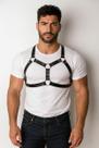 Arreio Harness Masculino Peitoral em material sintético