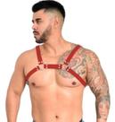 Arreio masculino cratos harness vermelho